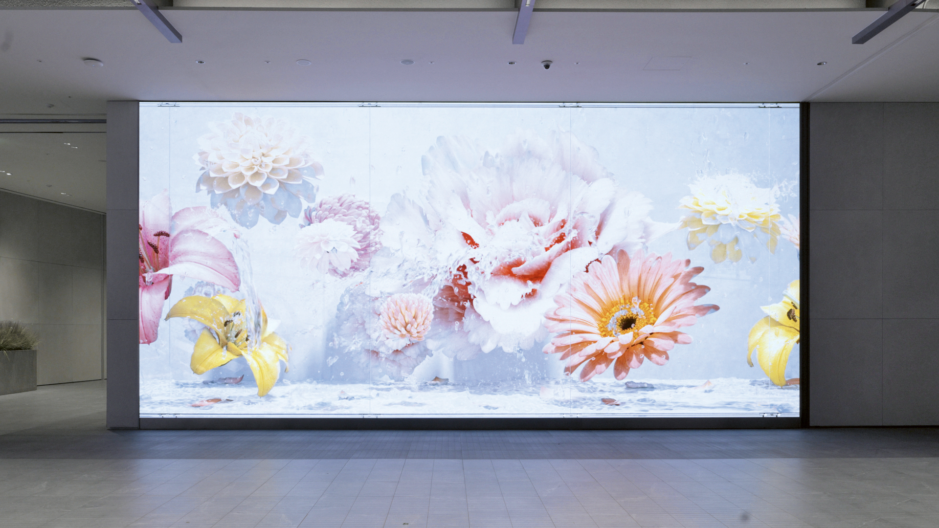 Lotte Department Store Dongtan – Art Collection Project “Shapes of Life”